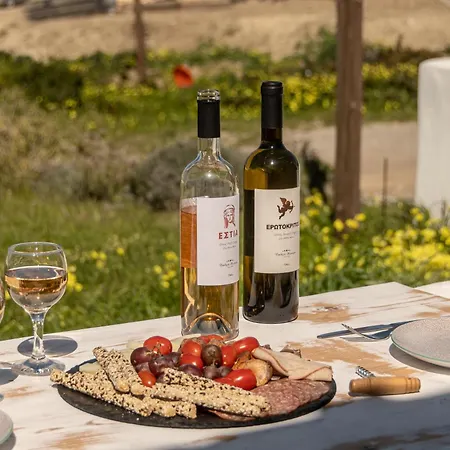 度假居 Touch Naxos Sunset Galanado