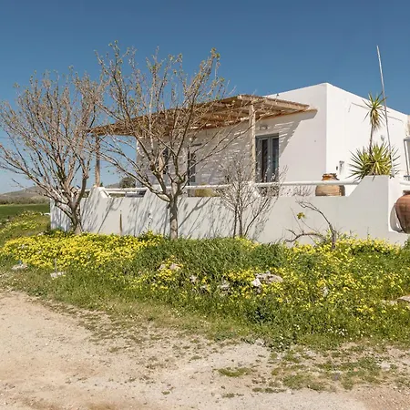 Touch Naxos Sunset *