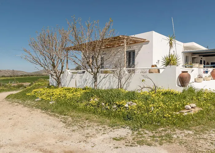 Touch Naxos Sunset *